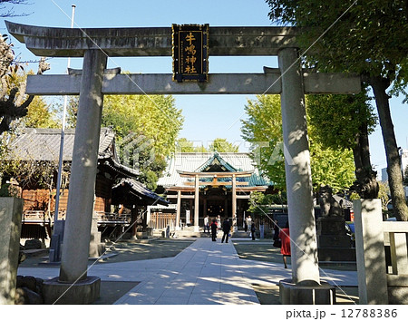 牛嶋神社 12788386