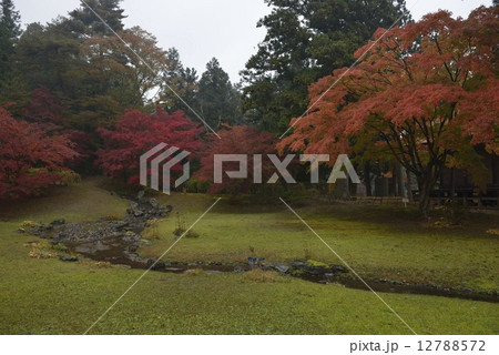 毛越寺庭園の紅葉　遣水 12788572