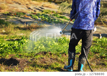 水やり 12788690