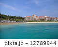 沖縄の海 12789944