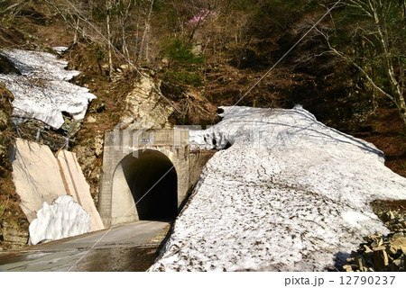 残雪の林道　（愛媛県瓶ヶ森林道） 12790237