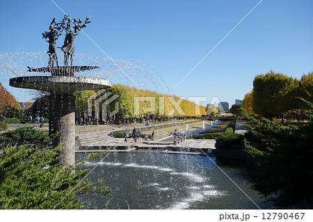 昭和記念公園の銀杏並木 12790467