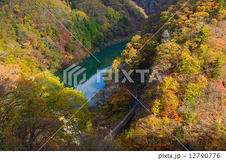 秋の天竜川　唐笠駅付近 12790776