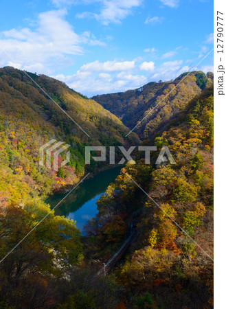 秋の天竜川 唐笠駅付近 秋の天竜川 唐笠駅付近 12790777