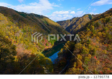 秋の天竜川　唐笠駅付近 12790778