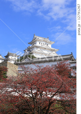 サクラの紅葉と姫路城 12791267