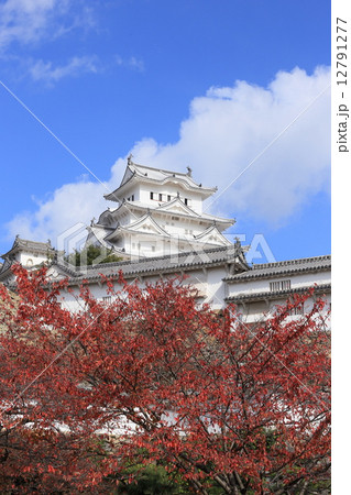 サクラの紅葉と姫路城 サクラの紅葉と姫路城 12791277