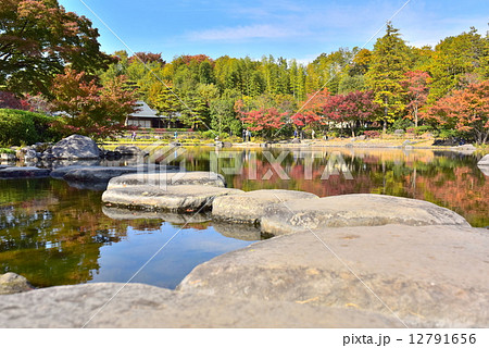 国営昭和記念公園　日本庭園　石渡り 12791656