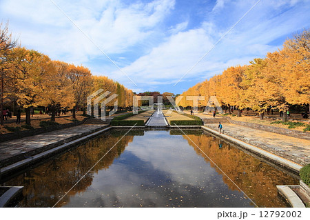 昭和記念公園 紅葉 昭和記念公園 紅葉 12792002