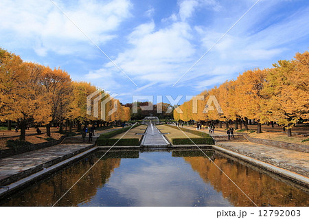 昭和記念公園　紅葉 12792003