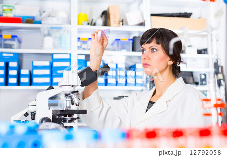 woman in a laboratory microscope with microscope slide in hand woman in a laboratory microscope with microscope slide in hand 12792058