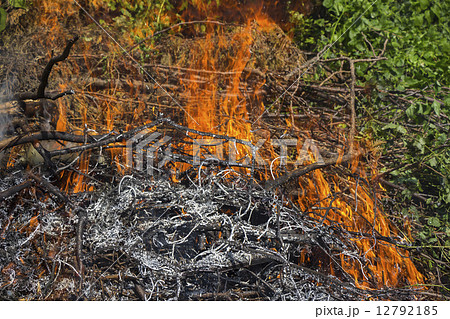 Burning fire flame Burning fire flame 12792185