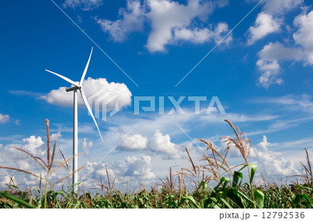 Wind Turbine Farm Wind Turbine Farm 12792536