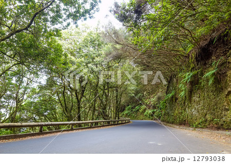Road through Anaga national park, Tenerife, Spain. 12793038