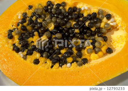 Papaya. 12793233