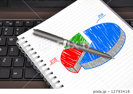 pie chart 12793418