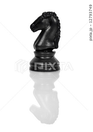 Chess knight Chess knight 12793749