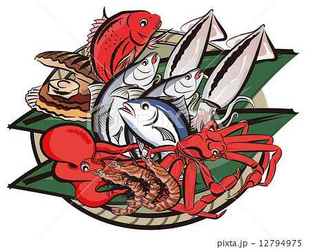 魚いろいろ 12794975