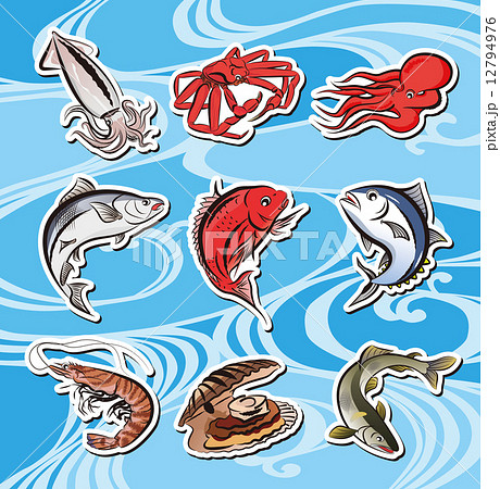 魚いろいろ 12794976