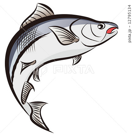 Salmon Stock Illustration