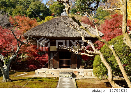 秋の長寿寺・観音堂 秋の長寿寺・観音堂 12795355