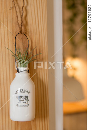 Decoration 12795629