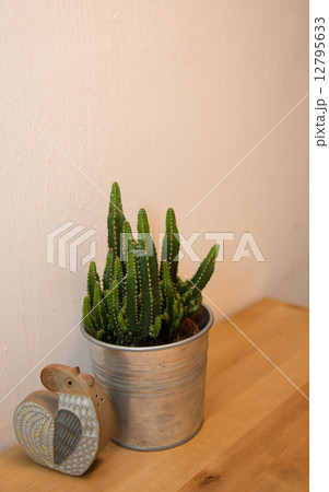 Decoration 12795633