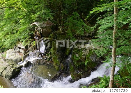 渓流の水車小屋 (徳島県三好市山城町半田岩) 渓流の水車小屋 (徳島県三好市山城町半田岩) 12795720