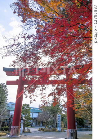 塩竃神社・志波彦神社の大鳥居 塩竃神社・志波彦神社の大鳥居 12795887