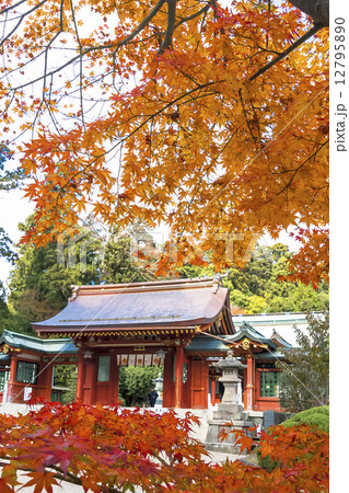 塩竃神社・紅葉と志波彦神社 塩竃神社・紅葉と志波彦神社 12795890
