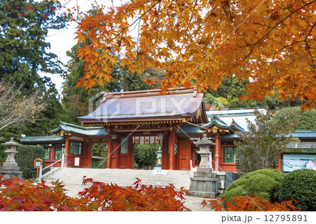 塩竃神社・紅葉と志波彦神社 塩竃神社・紅葉と志波彦神社 12795891