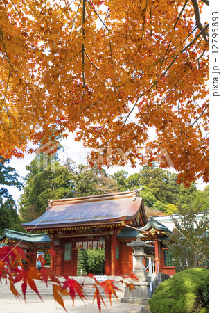 塩竃神社・紅葉と志波彦神社 塩竃神社・紅葉と志波彦神社 12795893