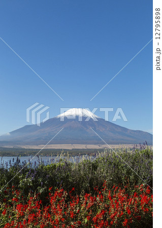 富士山 富士山 12795898