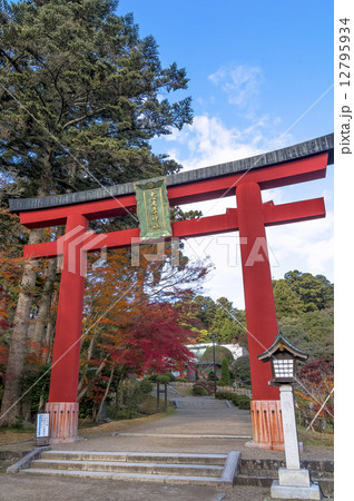 塩竃神社・志波彦神社の大鳥居 12795934