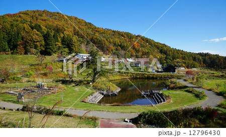 信州小川村大洞高原 12796430