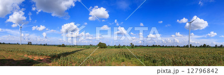Wind turbine 12796842