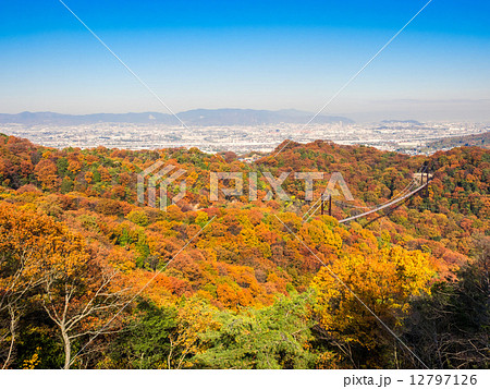 秋の星田園地 秋の星田園地 12797126