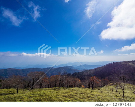 大台ヶ原 12797142