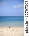 ビーチで読書 ビーチで読書 12797303