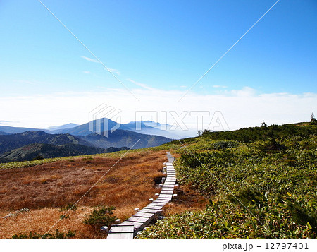 平ヶ岳登山道 12797401