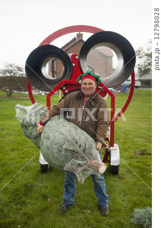 A man carrying a pine tree, on a Christmas Tree farm. A man carrying a pine tree, on a Christmas Tree farm. 12798028