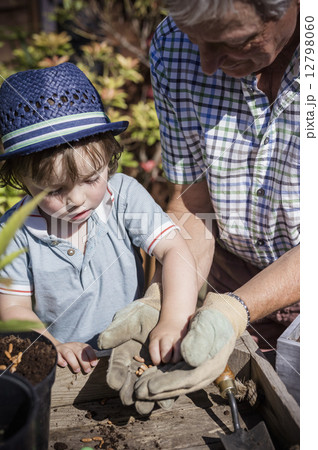Man and a young child gardening, planting seeds. Man and a young child gardening, planting seeds. 12798060
