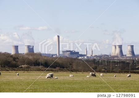 Herd of sheep on a meadow. Didcot coal fired power station in the background. 12798091