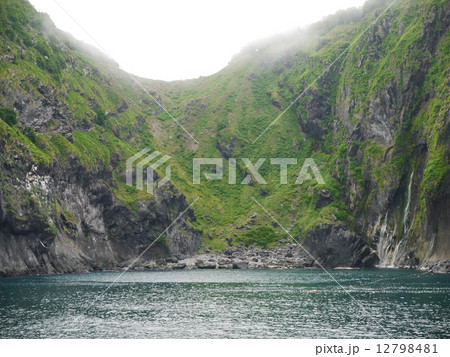 知床岬クルーズ 知床岬クルーズ 12798481