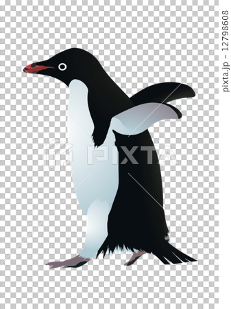 アデリーペンギン２のイラスト素材