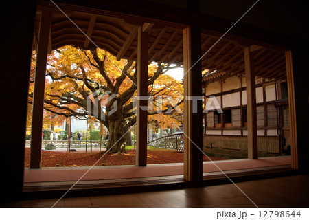 雷山千如寺 雷山千如寺 12798644