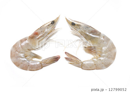 Two of Whiteleg shrimp isolated on white background. Two of Whiteleg shrimp isolated on white background. 12799052