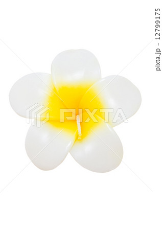 Plumeria flower candles isolated on white. 12799175