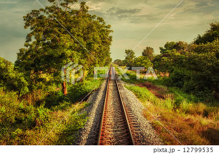 Railway track crossing rural landscape Railway track crossing rural landscape 12799535
