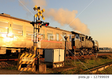 真岡鐵道「夕暮れ時のSLもおか号」 真岡鐵道「夕暮れ時のSLもおか号」 12799609